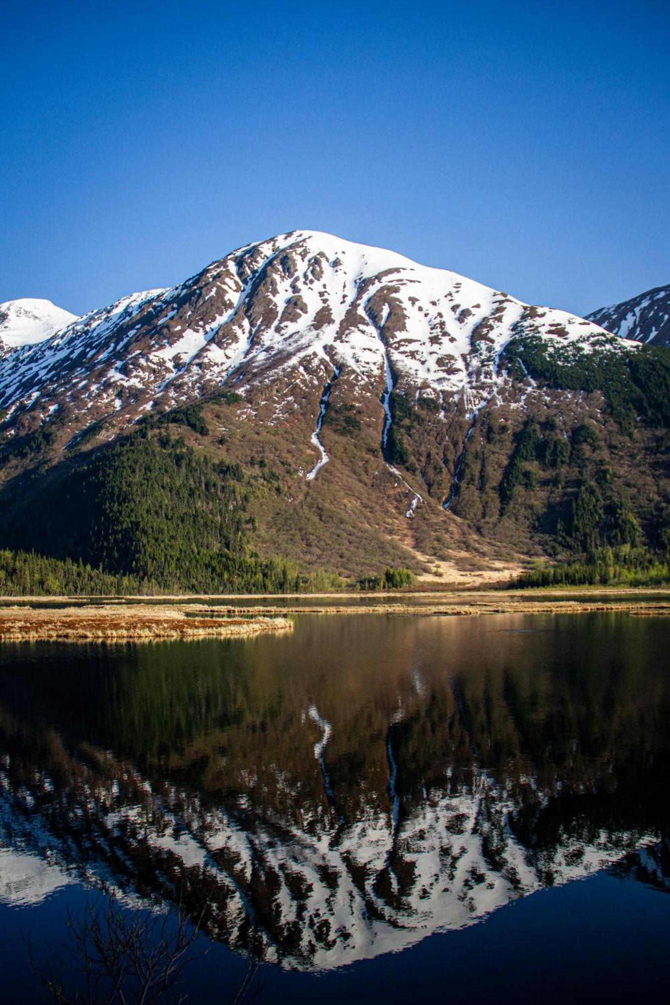 Aviator Hotel Anchorage Buitenkant foto